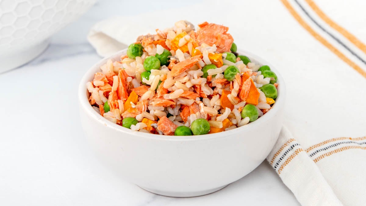 Image showcasing Salmon Dog Food