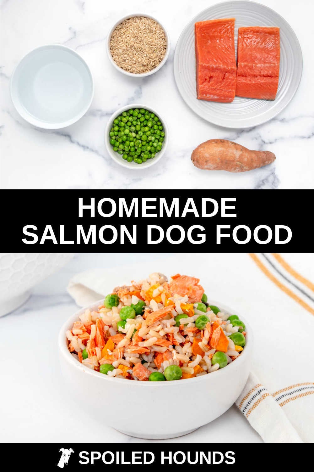 Picture of Salmon Dog Food