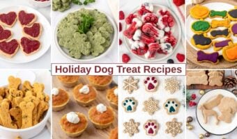 Homemade treats for dogs for various holidays.