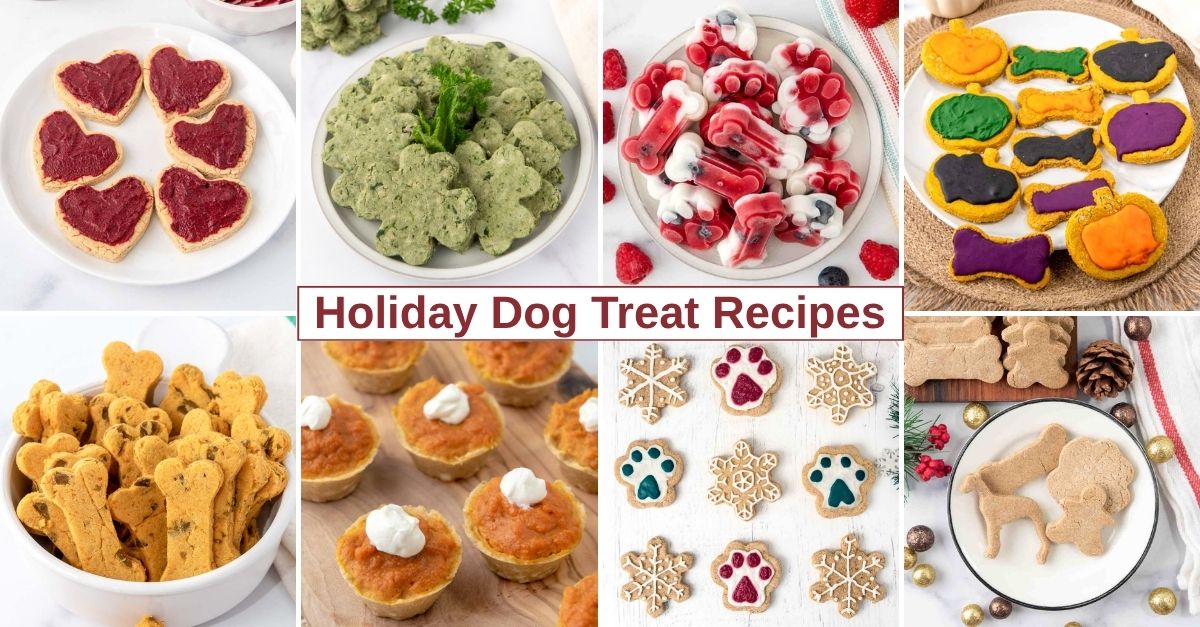 Homemade treats for dogs for various holidays.