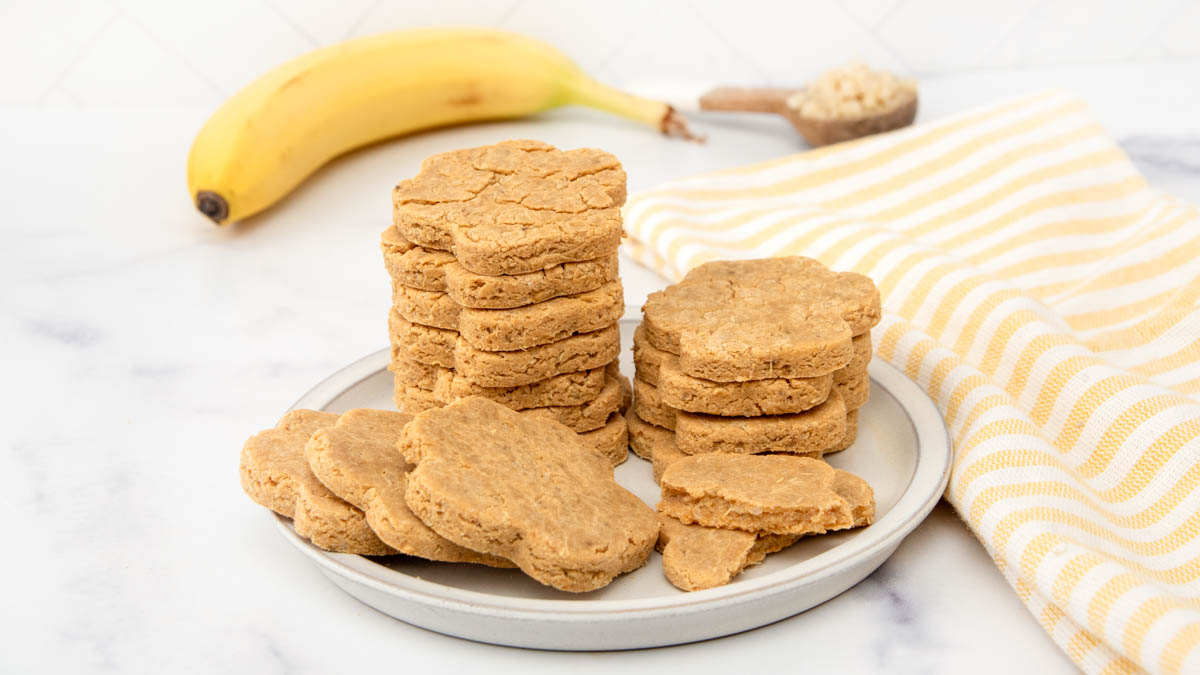 Photo inspiration: Visual Reference: Quinoa Dog Treats