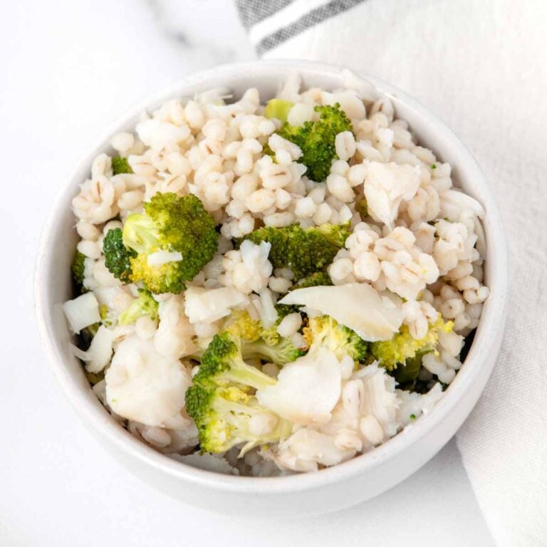 Homemade Dog Food With Fish