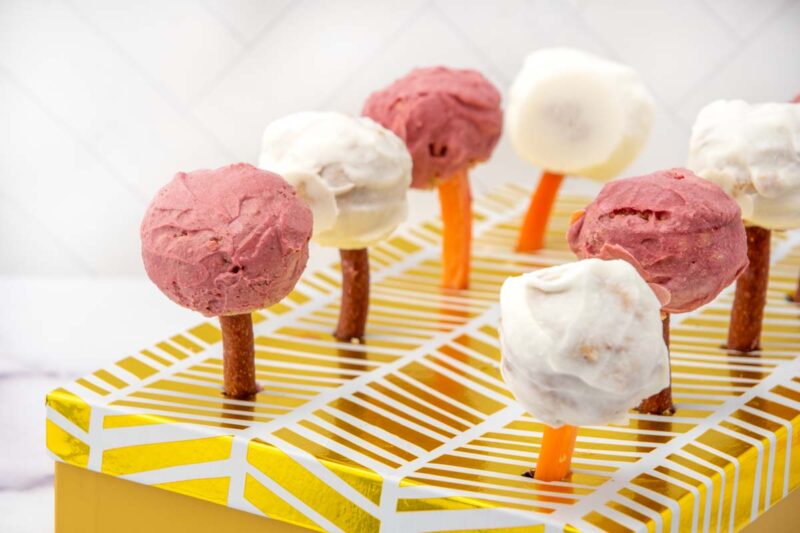 Image showcasing Cake Pops For Dogs