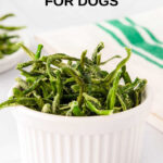 Homemade dehydrated green beans for dogs in a ramekin.