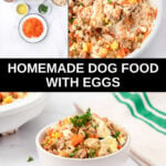 Homemade dog food with eggs ingredients, the food in a skillet and a bowl.