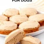 Peanut butter banana cupcakes for dogs with yogurt peanut butter frosting on a plate.