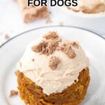 Homemade peanut butter pumpkin microwave pupcake with frosting.