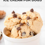 A bowl of peanut butter carob chip cottage ice cream for dogs.