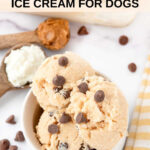 Peanut butter carob chip cottage cheese ice cream for dogs in a bowl.