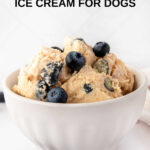 A bowl of blueberry peanut butter cottage cheese ice cream for dogs.