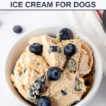 Blueberry peanut butter cottage cheese ice cream for dogs.