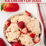 Strawberry peanut butter cottage cheese ice cream for dogs.