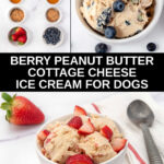 Berry peanut butter cottage cheese ice cream for dogs ingredients and the ice cream.