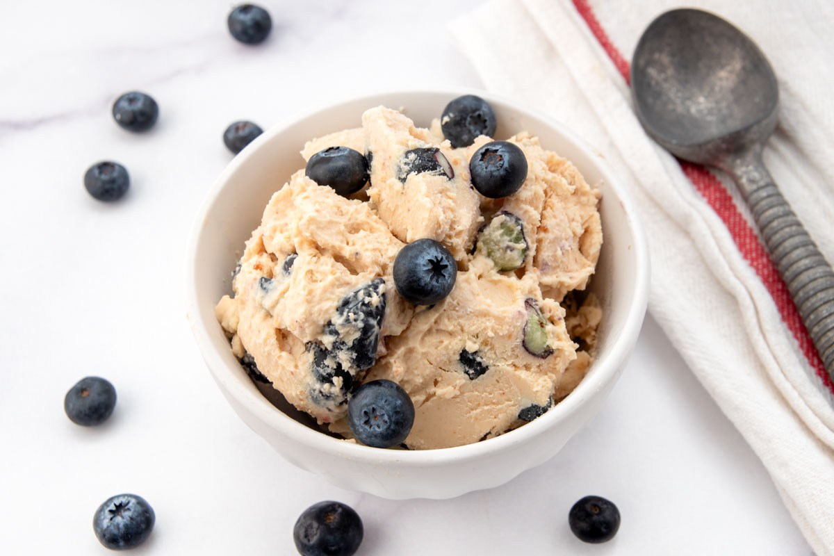 Blueberry cottage cheese ice cream for dogs topped with fresh blueberries.