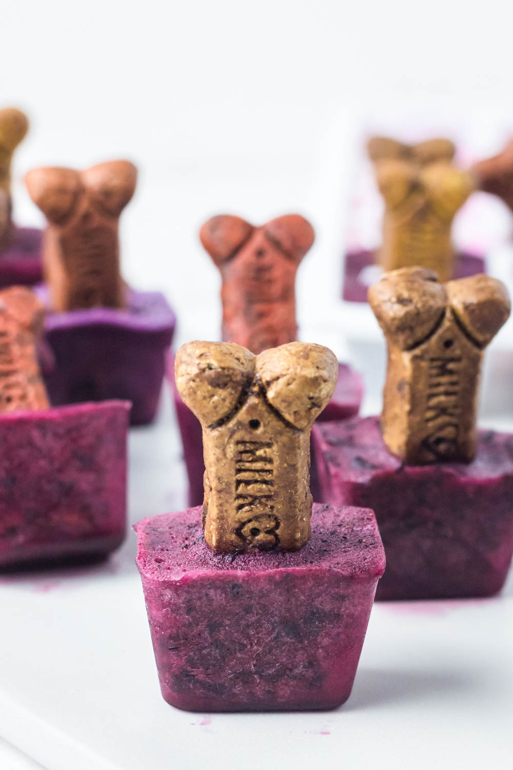 Homemade blueberry popsicles for dogs with dog biscuits for the popsicle sticks.