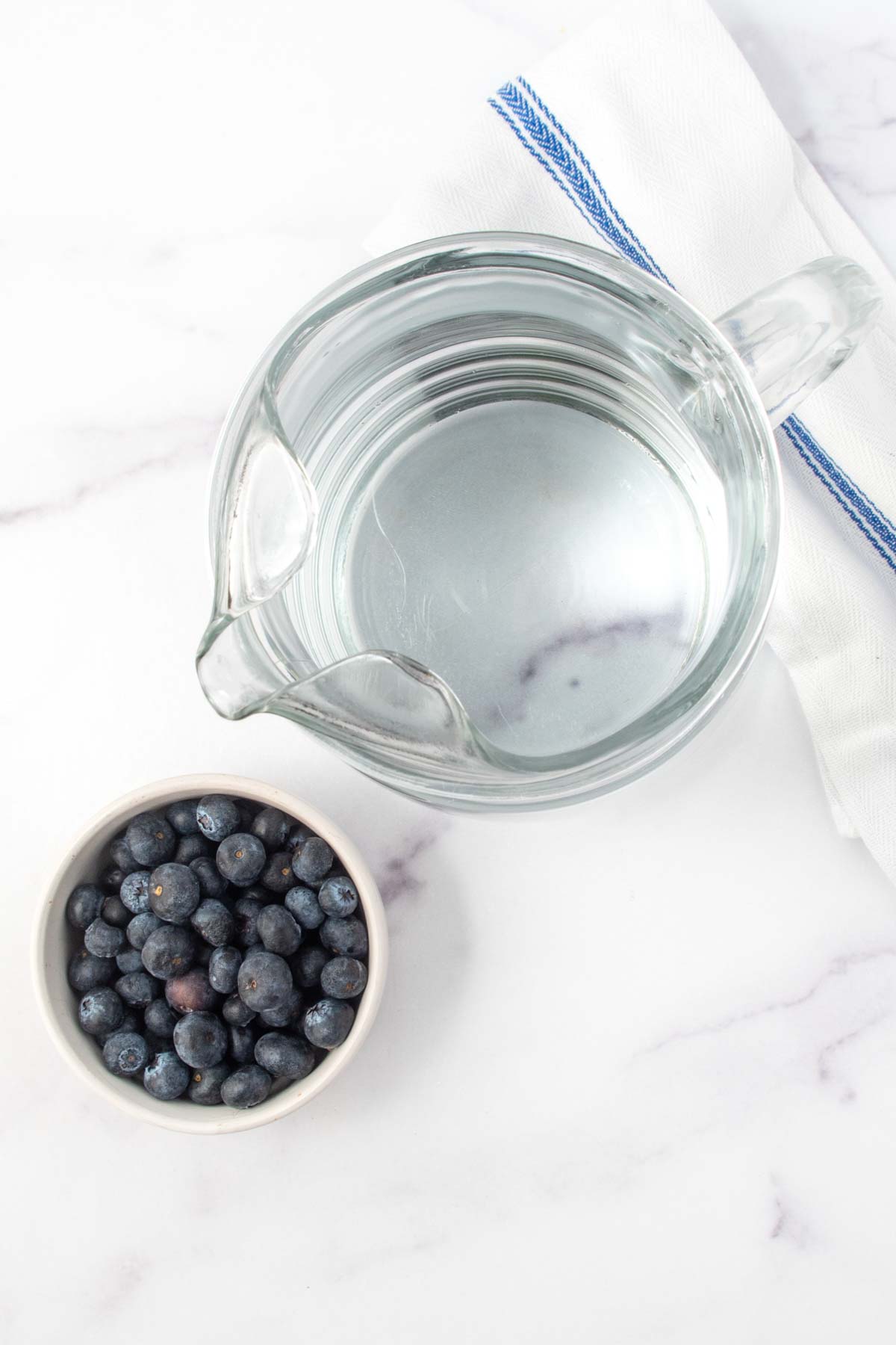 Blueberry water for dogs ingredients on a marble surface.
