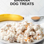 Frozen peanut butter banana dog treats, a banana, and peanut butter in a spoon.