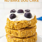 Homemade oatmeal peanut butter no bake dog cake with yogurt frosting.