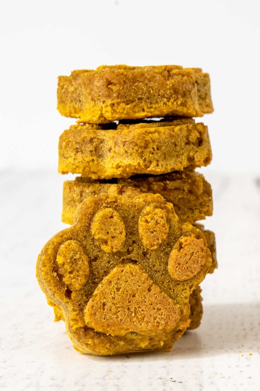 A stack of peanut butter pumpkin dog treats and one in front of it.
