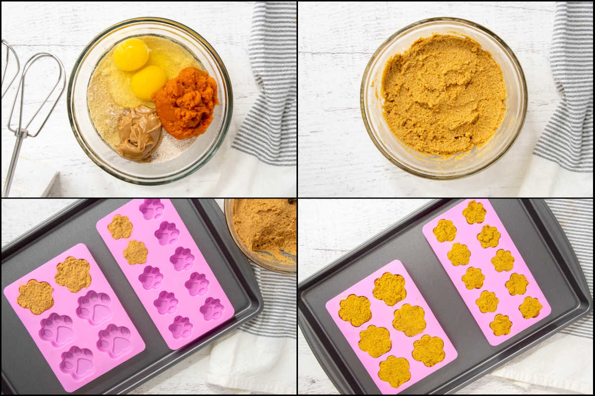 Making peanut butter pumpkin dog treats.