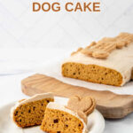 Homemade pumpkin dog cake slice on a plate and the cake behind it.