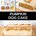 Pumpkin dog cake and the cake on a platter.