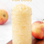 Homemade applesauce for dogs in a mason jar.