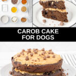 Homemade carob cake for dogs ingredients and the cake with peanut butter frosting.