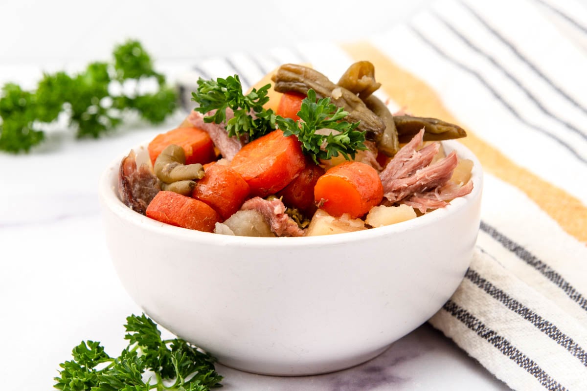 Homemade lamb stew for dogs in a bowl garnished with curly parsley.