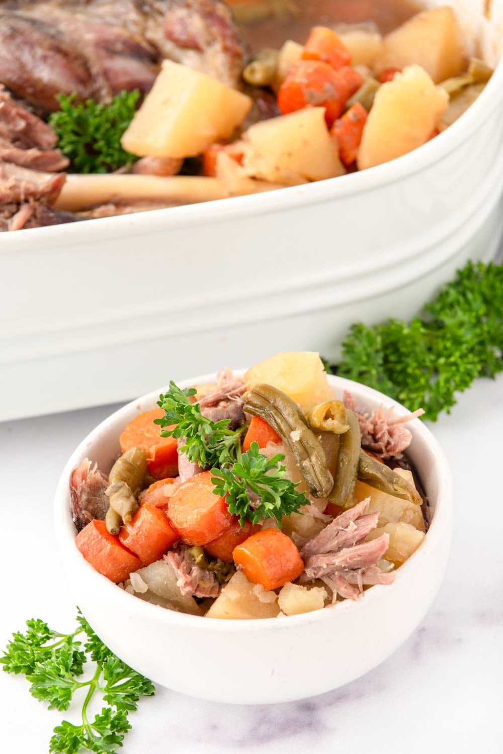 Homemade lamb stew for dogs in a bowl and a baking dish.
