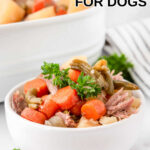 Homemade lamb stew for dogs garnished with curly parsley.