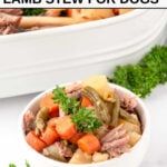 Homemade lamb stew for dogs in a baking dish and a small bowl.