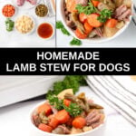 Homemade lamb stew for dogs ingredients and the stew in a bowl.