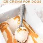 Homemade peanut butter banana ice cream for dogs in a loaf pan and on a scoop.