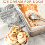 Homemade peanut butter banana ice cream for dogs in a bowl and loaf pan.