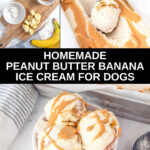 Homemade peanut butter banana ice cream for dogs ingredients and scoops of it.