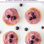 Four homemade blueberry pies for dogs.
