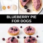 Homemade blueberry pie for dogs recipe and the pie.
