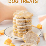 Homemade butternut squash dog treats stacked on a plate and in front of it.