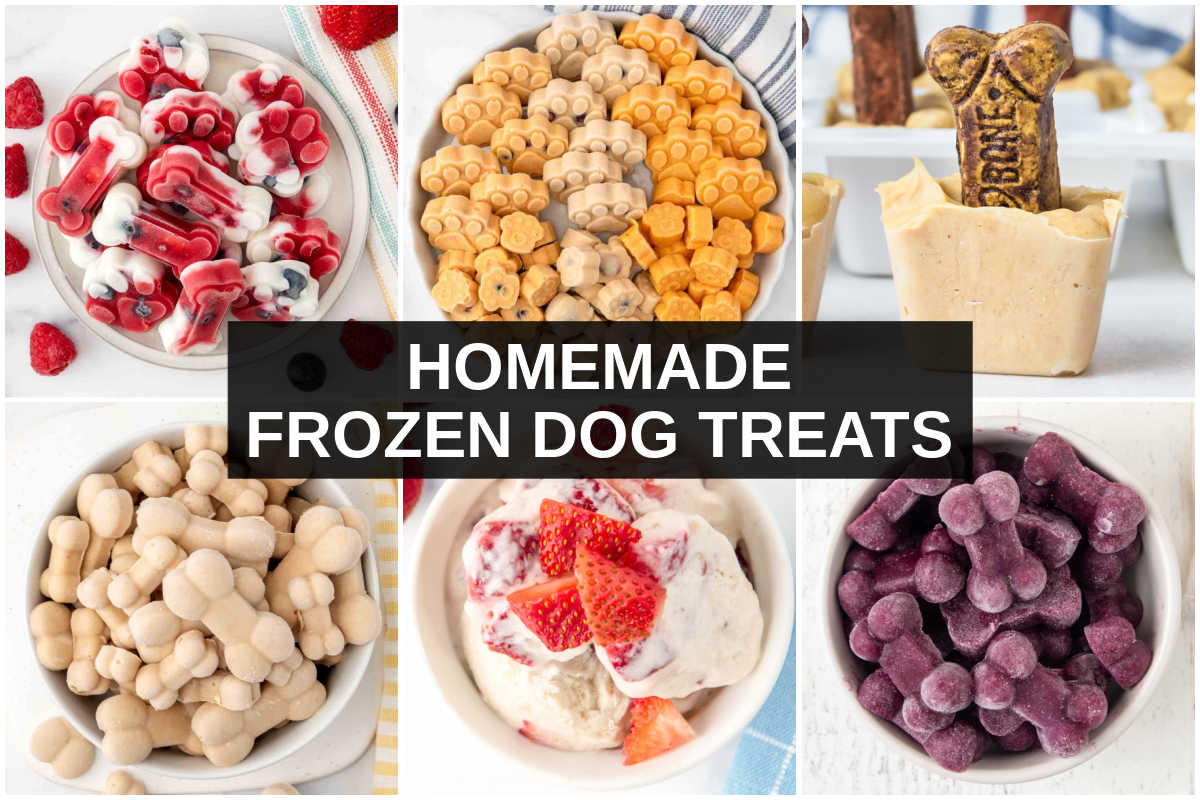 Homemade frozen dog treats, ice cream, and popsicles.