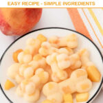 Homemade frozen peach dog treats and a peach.