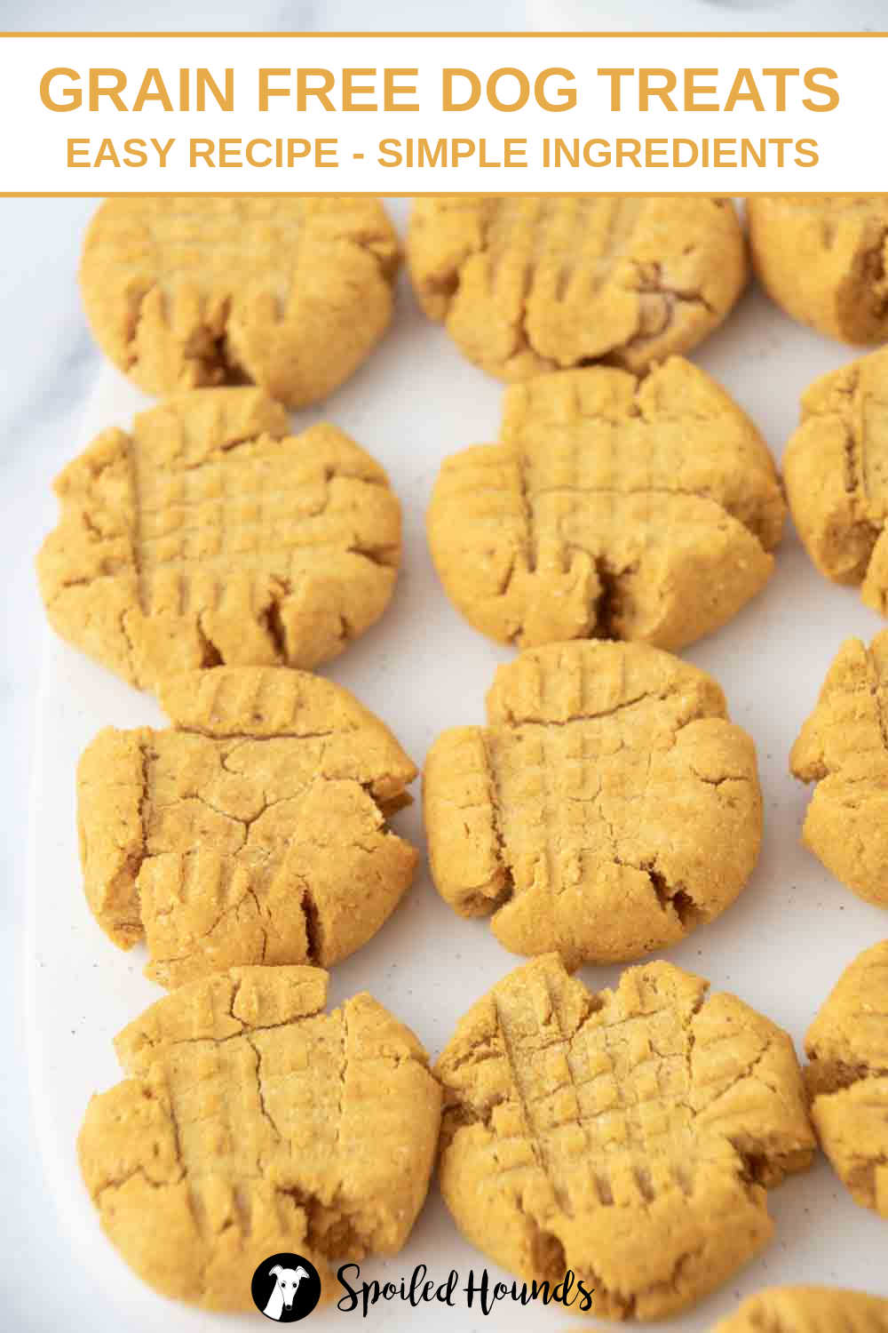 Picture of Homemade Grain Free Dog Treats with Pumpkin and Peanut Butter