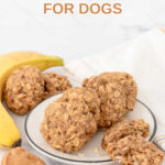 Homemade oatmeal cookies for dogs with banana and peanut butter on a plate.