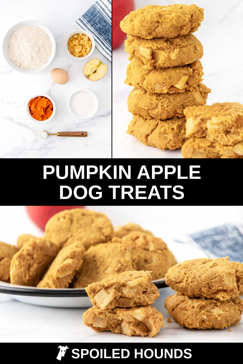 Photo inspiration: Picture Idea: Pumpkin Apple Dog Treats