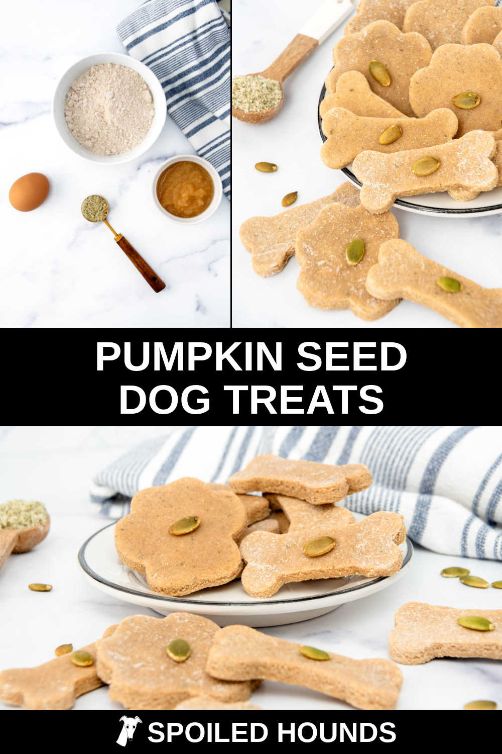 Image showcasing Pumpkin Seed Dog Treats Recipe (Easy & Wholesome)