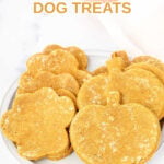 Homemade pumpkin spice dog treats on a small plate.
