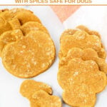 Homemade pumpkin spice dog treats in pumpkin and paw shapes.