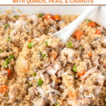 Homemade mackerel dog food in a baking dish.