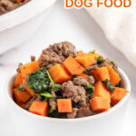 Homemade beef and sweet potato dog food in a small bowl.
