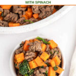Homemade beef and sweet potato dog food in a skillet and a small bowl.